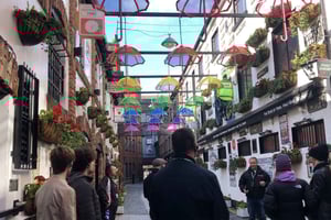 Visite à pied du meilleur de Belfast