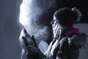 Biddinghuizen: Dutch Ice Sculpture Festival Entry Ticket