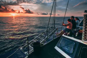 Cairns: Viagem de 2 dias de barco para mergulho e snorkel na Grande Barreira de Corais