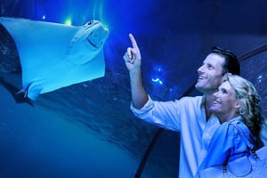 Cairns: Visita guiada ao aquário ao anoitecer com jantar de 3 pratos