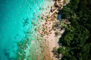 Cairns: Færge til Fitzroy Island med valgfri frokost og aktivitet