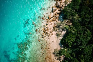 Cairns: Fitzroy Island Ferry with Optional Lunch & Activity