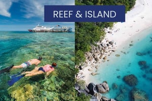 Cairns: Great Barrier Reef and Fitzroy Island Boat Tour