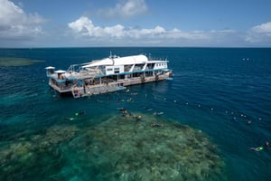 Cairns: Great Barrier Reef Pontoon med vandaktiviteter
