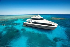 Cairns: Great Barrier Reef Scuba Diving Tour