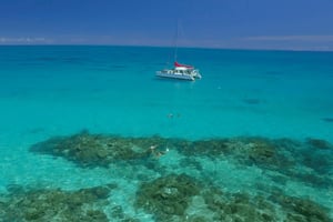 Cairns : excursion de plongée avec tuba dans la Grande Barrière de Corail avec déjeuner