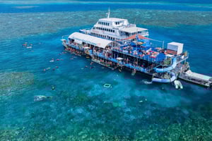 Cairns: Outer Great Barrier Reef Pontoon with Activities