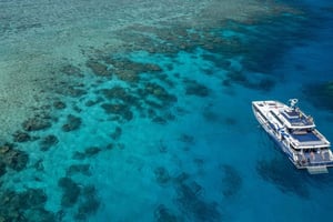 Cairns: mergulho premium com snorkel e mergulho no recife