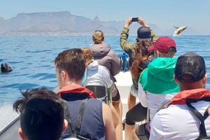 Le Cap : Safari marin Big 5 au départ du V&A Waterfront