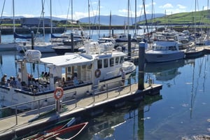 Dingle: Blasket Island Eco Tour with Wildlife Watching