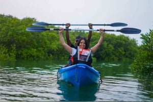 Doha: Geführte Öko-Tour im Mangrovenwald mit Kajakfahren