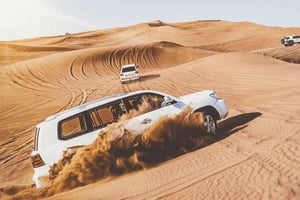 Доха: Сафари, прогулка на верблюдах, катание на песчаных досках и экскурсия по внутреннему морю