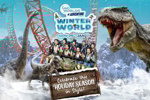 ドバイ：IMG ワールド オブ アドベンチャー入場券