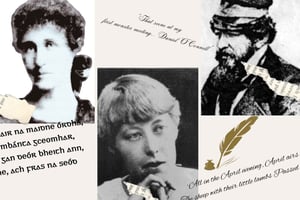 Dublin: Hidden Gem Walking Tour with Local Guide