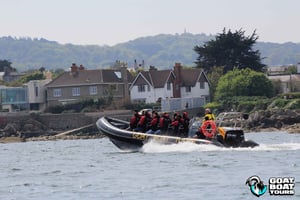 ダブリン：ライブ解説付きの歴史と野生動物のボートツアー