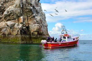 Dublin: Howth Coastal Boat Tour