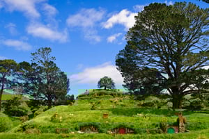 Vanuit Auckland: Waitomo & Hobbiton bustour met lunch