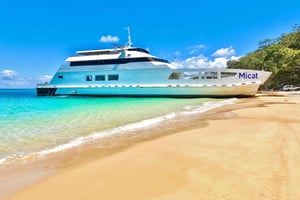 From Brisbane: Moreton Island Full-Day Trip
