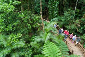 From Cairns: Daintree Rainforest & Cape Tribulation 4WD Tour