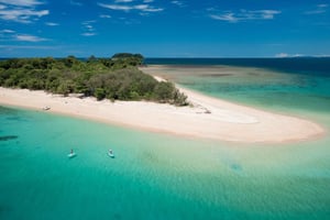 Da Cairns: tour rapido di un giorno alle isole Frankland