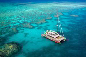Au départ de Cairns : Croisière sur la Grande Barrière de Corail en catamaran de luxe