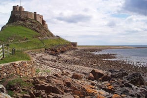 Desde Edimburgo: excursión de un día a la costa vikinga y al castillo de Alnwick.