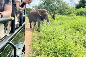 Viaggio da Galle/Hikkaduwa/Mirissa a Udawalawe Safari Tour