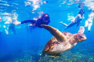 From Krabi: Surin Islands Snorkeling Tour w/ Meals