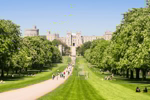 Fra London: Halvdagstur til Windsor Castle med entrébillet