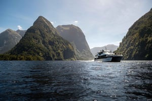 Från Manapouri: Doubtful Sound Wilderness Day Trip