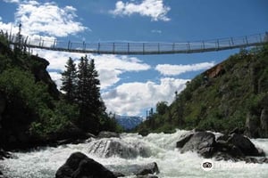 From Skagway: White Pass and Yukon Suspension Bridge Tour