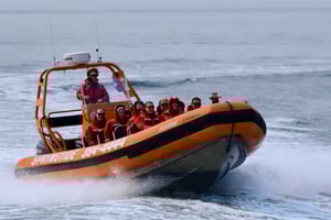 From Victoria: Whale Watching Tour by Zodiac Boat