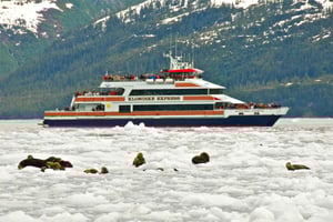 Von Whittier/Anchorage: Prince William Sound Gletscherkreuzfahrt