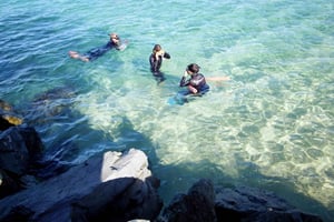 Gold Coast: Snorkling på Wave Break Island