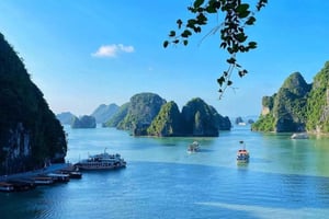 HALONG VITAWELL -PÄIVÄRETKI LUKSUSRISTEILYLLA