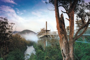 Hobart: Hastings Cave, Tahune Airwalk and Huon Tasting Trail