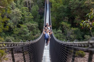 Hobart: Tahune Airwalk, Hastings-grotten, varme kilder