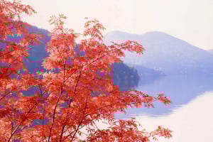 Hokkaido: een dagje zwerven langs de klassieke kustlijn van Otaru