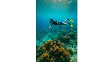 Schnorchel-Abenteuer in Jaffna: Entdecke die Wunder des Meeres