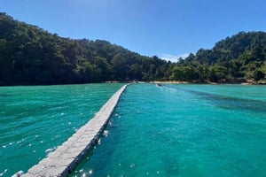 コ・チャン：5島ガイド付きボートツアー（ランチビュッフェ付き）