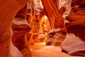 Las Vegasissa: Antelope Canyon & Horseshoe Bend w/ Lounas: Lower Antelope Canyon & Horseshoe Bend w/ Lunch