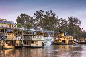Melbourne: Murray River Paddle Steamer, vin- och djurlivstur