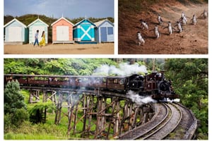 Melbourne: Puffing Billy Penguin Parade Brighton Boxes Tour