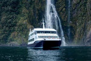 Milford Sound: Vattenfall, vilda djur och regnskogskryssning