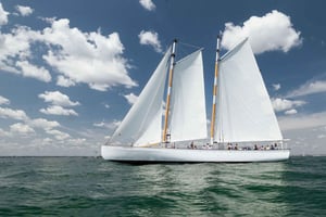 ニューポート：スクーナー船での日帰りセーリングと観光ボートツアー