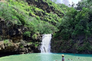 Oahu: Valley of Waimea Falls Pływanie i wędrówki z lunchem i zasiłkiem