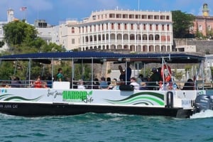 Gamla San Juan: Övibbar inspirerade av Bad Bunny