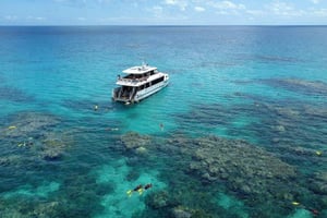 Port Douglas: Outer Great Barrier Reef Snorkeling Cruise