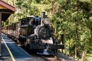 Puffing Billy, Santuario de Healesville y chocolatería