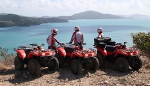 ハミルトン島のクワッドバイクツアー